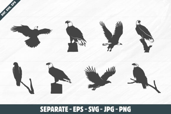Bald Eagle SVG Graphics for Local Crafts & Branding