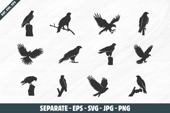Hawk Silhouette Set: Graphics for Crafts & Local Branding