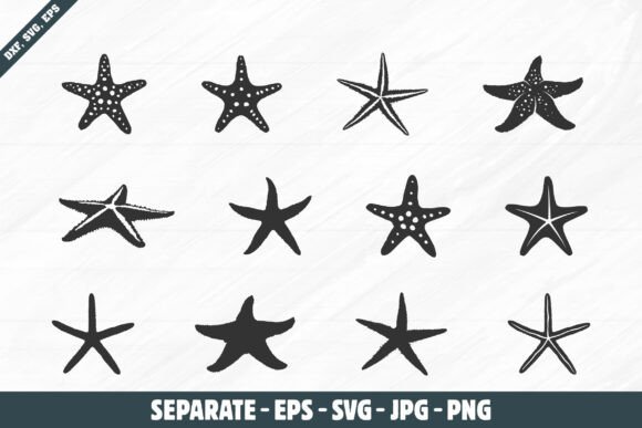 Starfish Silhouettes, Starfish Svg - V02